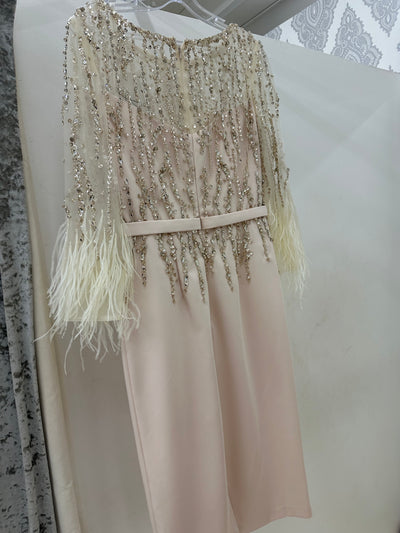 Light Champagne Jewel Feather Dress