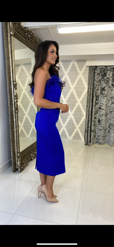 Feather Detailed Midi Cocktail Dress In Royal Blue
